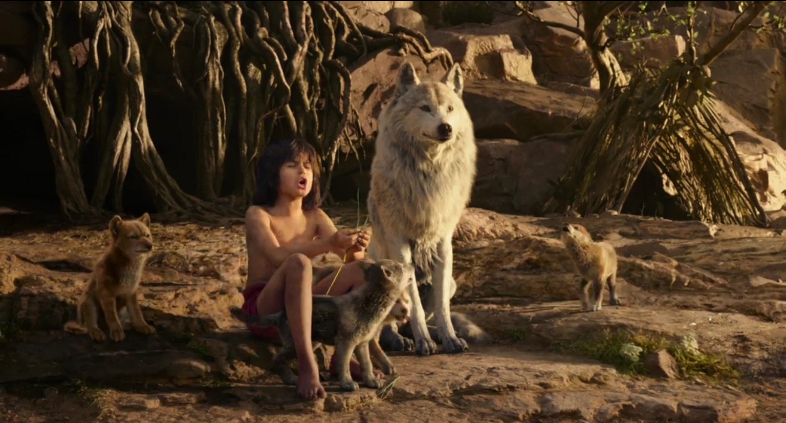 The Jungle Book Further Thoughts
