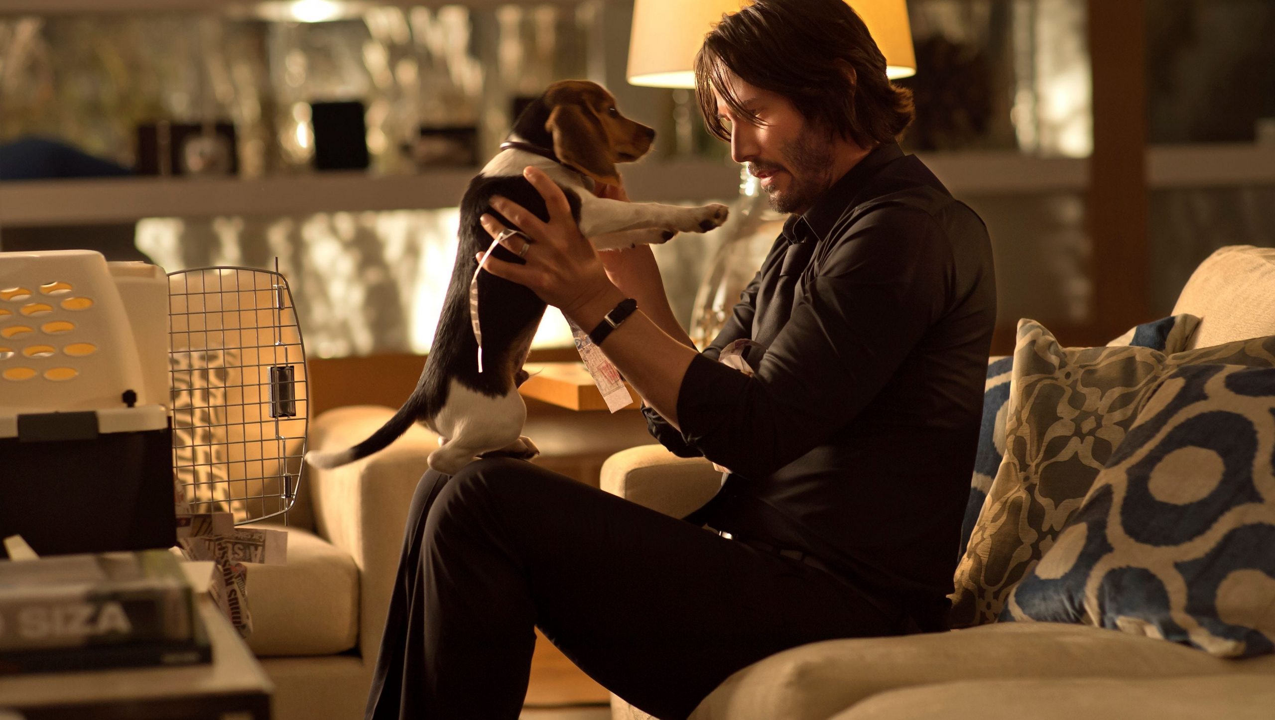 635494961822000008 BEAGLE JOHN WICK MOV JY 3400 68084492 scaled